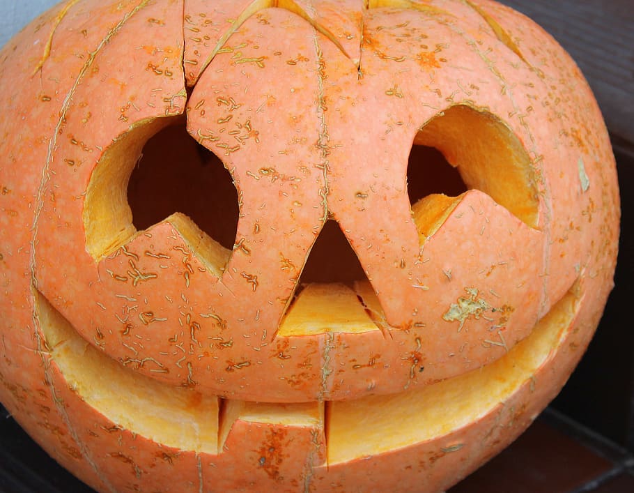 pumpkin, halloween, a vegetable, orange, autumn, powycinana pumpkin, scare, decorative, nature, face