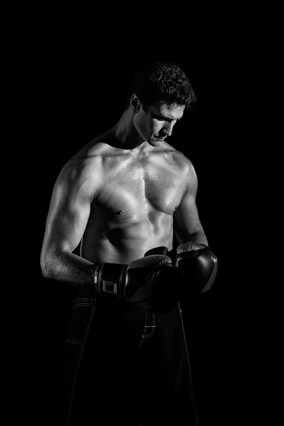 foto en escala de grises, hombre, vistiendo, guantes de boxeo, cuerpo, culturismo, oscuro, fitness, modelo, persona