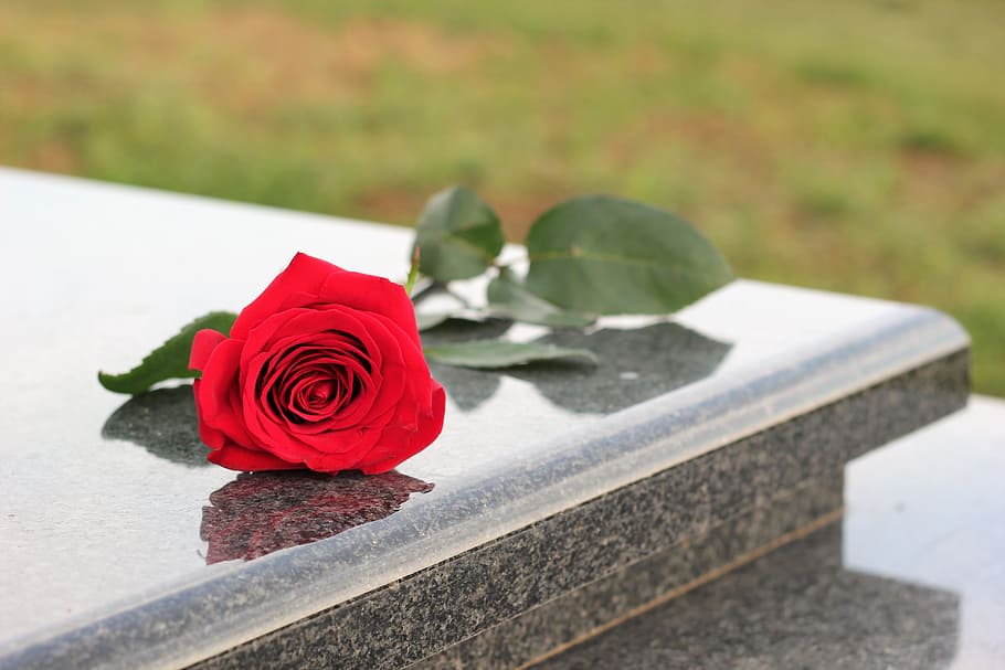 Red Rose, Grey, Marble, Gravestone, Grave, grey marble, symbol, love, rose - Flower, flower