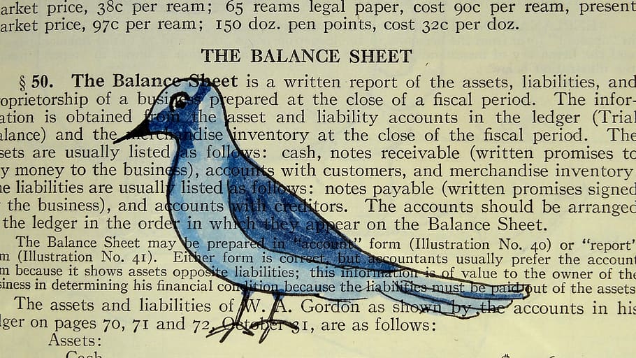 balance sheet text, bird, book, design, paper, vintage, animal, page, cute, drawing