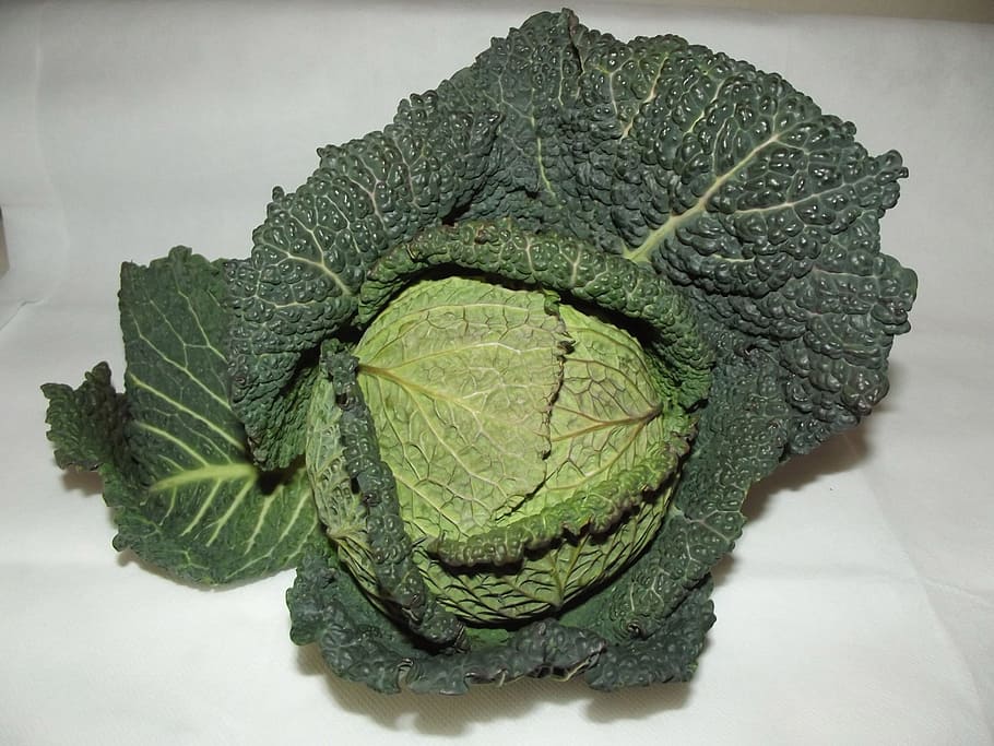 cabbage, leafy, green, food, vegetable, healthy, fresh, vegetarian, raw, ingredient