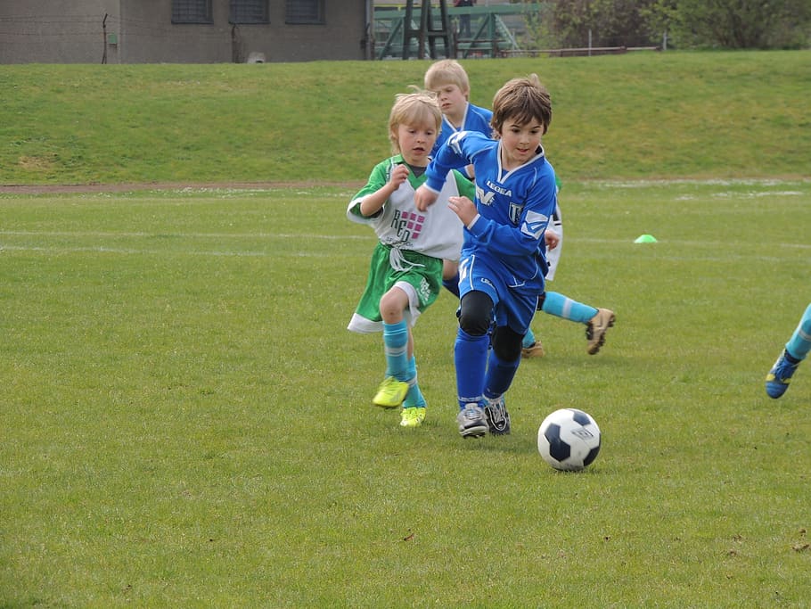 menino, jogando, futebol, campo, partida, crianças, bola, jogo, esporte de equipe, grama