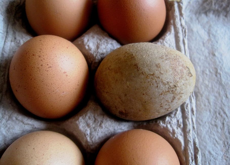 Eggs, Box, Dozen, Egg, Food, half dozen, chicken, breakfast, fresh, carton