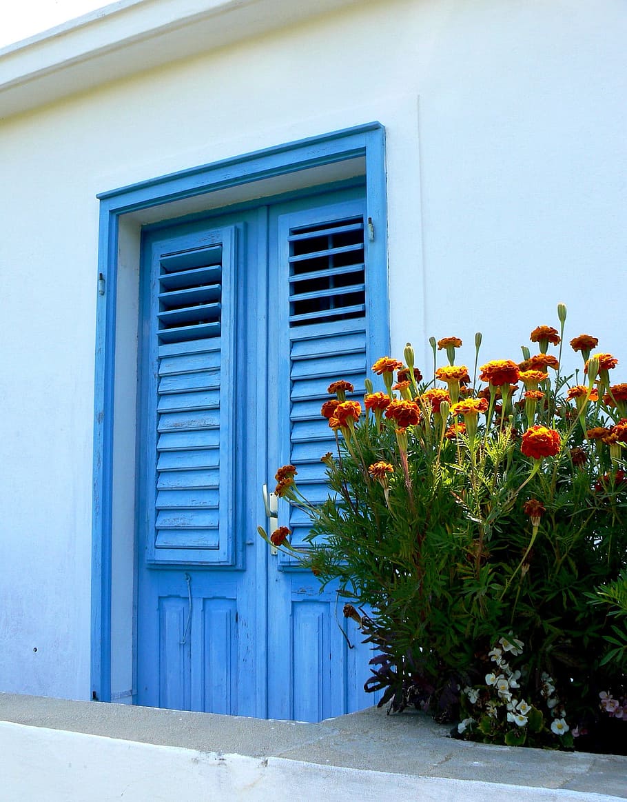 Door, Entrance, Home, Doorway, blue, front, exterior, flowers, wall, house