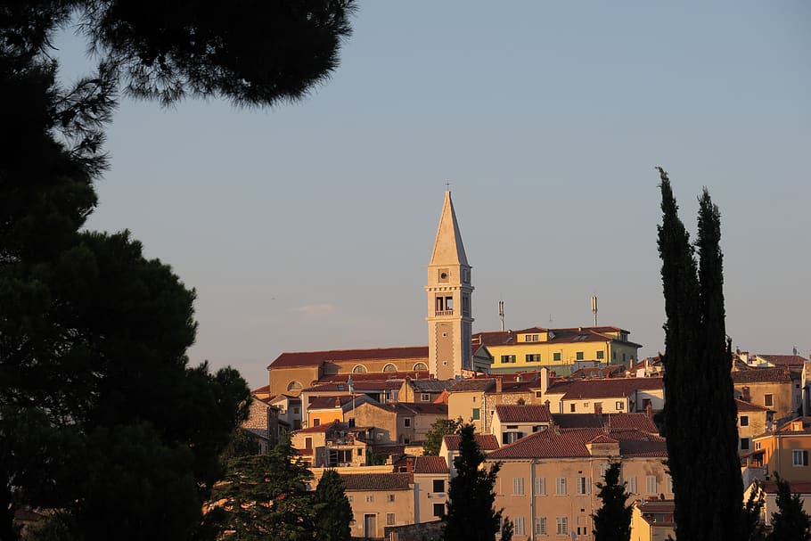 vrsar, croatia, historic center, istria, steeple, tree, building exterior, architecture, built structure, plant