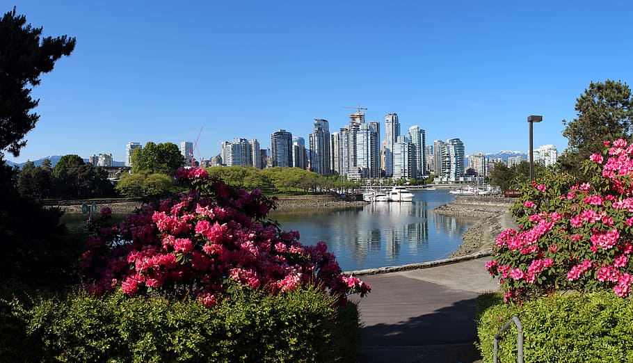 Vancouver, False Creek, Cidade, Panorama, panorama da cidade, paisagem urbana, canadá, bc, edifícios, cais