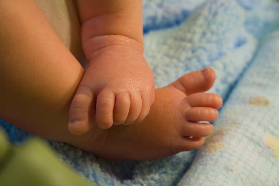 lindo, bebé, pies, parte del cuerpo humano, niño, joven, infancia, mano humana, parte del cuerpo, mano