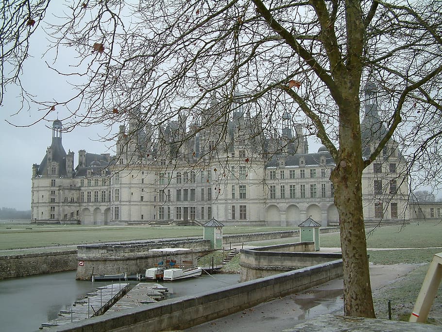 castle, chambord, loire valley, france, architecture, history, building exterior, built structure, tree, water