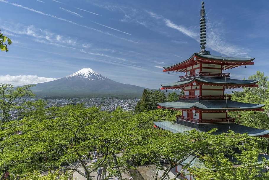 tinggi, pemandangan, candi, dikelilingi, hijau, pohon, pemandangan tinggi, fuji, gunung, pagoda