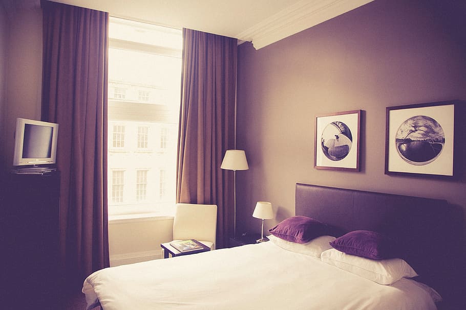 quarto de hotel, cama, travesseiros, molduras, decoração, móveis, cortinas, colo, janela, tv