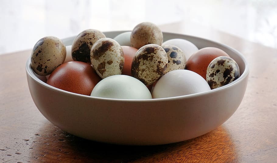 ovos, frango, codorna, pássaro, comida, tigela, ingredientes, cozinhar, cozinha, mesa