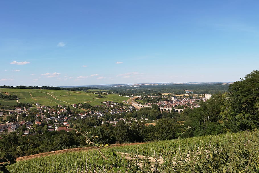 landscape photography, hill, sancerre, loire, vineyard, vine, wine, burgundy, grapes, france