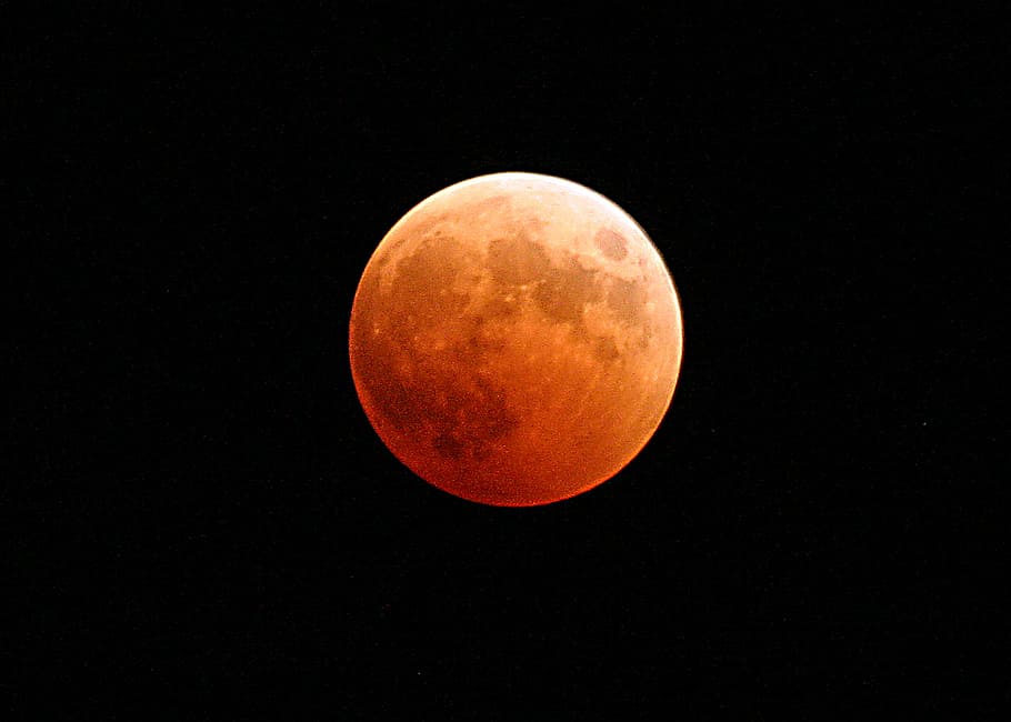 red moon photo, lunar eclipse, moon, blood, orange, red, cosmos, space, moonlight, total