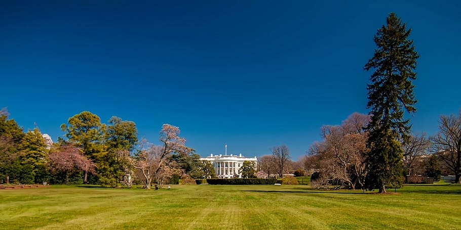 district, white house, america, american, architecture, beautiful, blue, building, bush, color