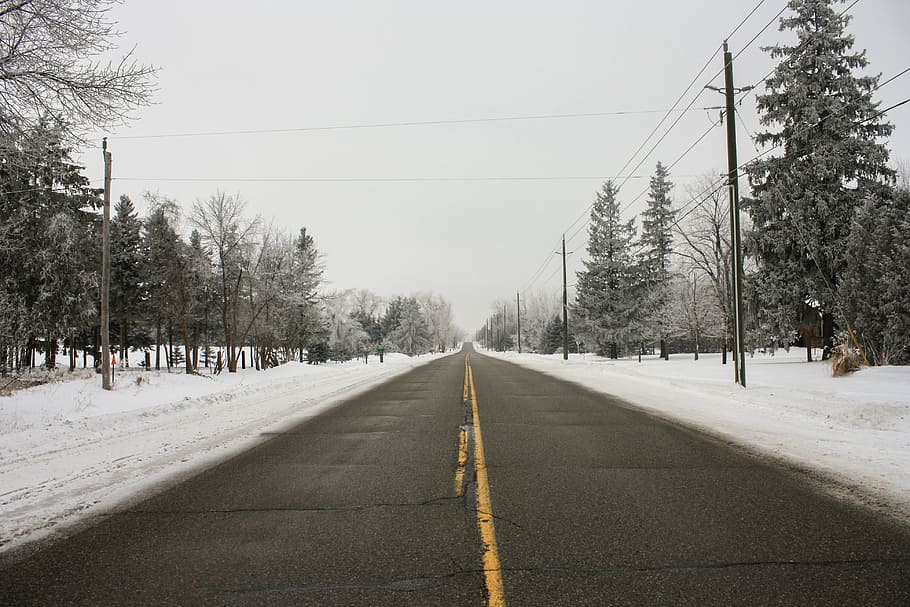 road between trees, Road, Winter, Snow, Cold, Travel, highway, pavement, tar, tarmac