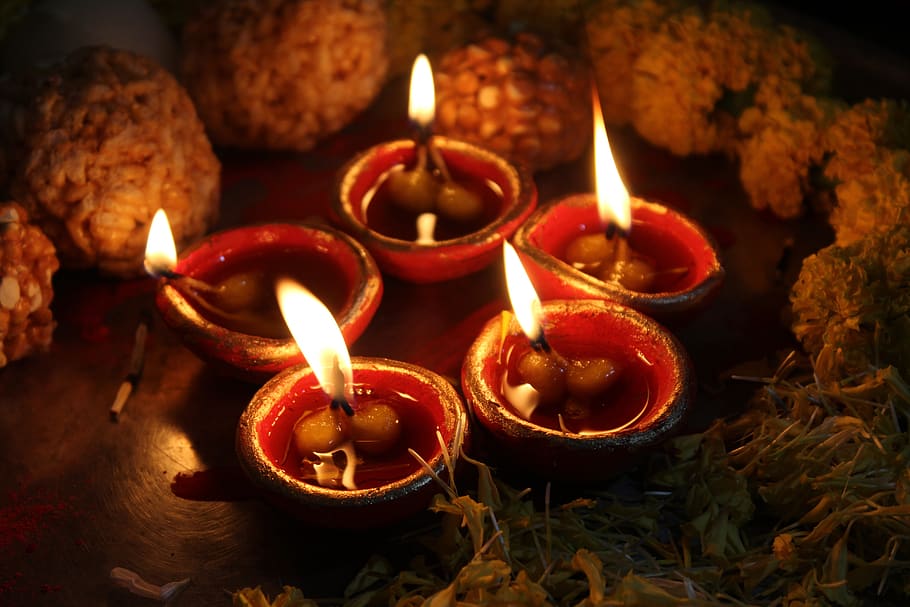 flor, doces, amarelo, vermelho, hinduísmo, luz, lâmpada, tradicional, festival, indiano