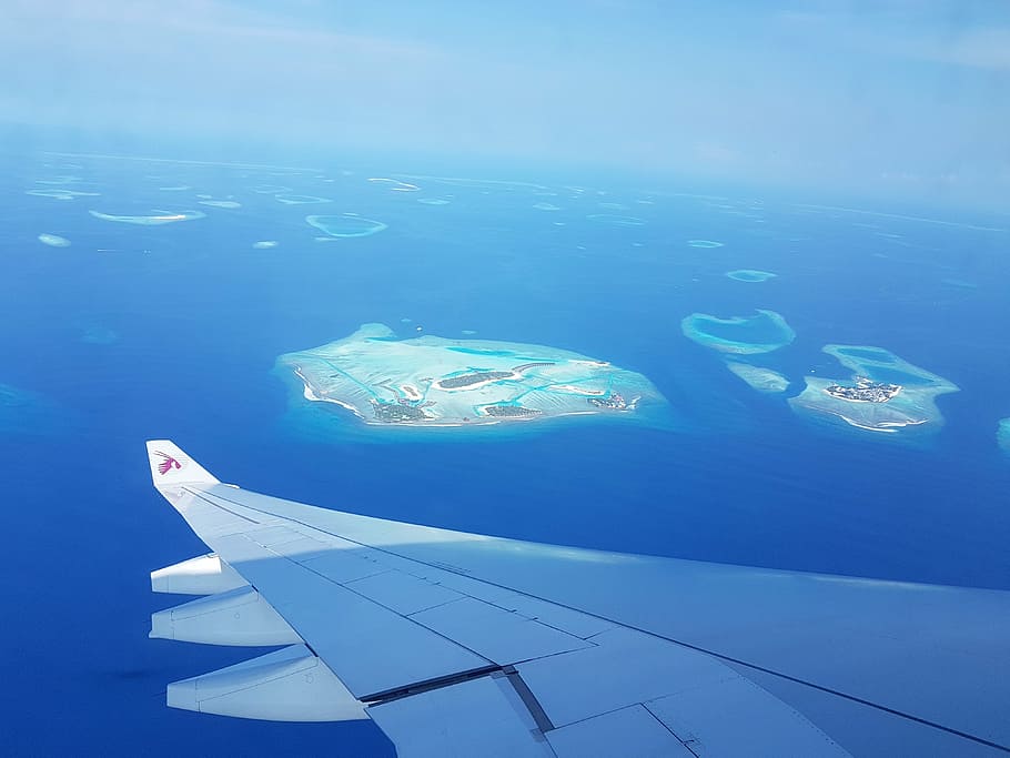 aérea, fotografia, ilha, maldivas, voo, embaixo da agua, ninguém, um animal, natação, mar