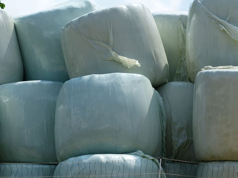 hay bales, straw bales, agriculture, plastic, plastic ball, silage bales, grass bales, silage, food, cattle feed