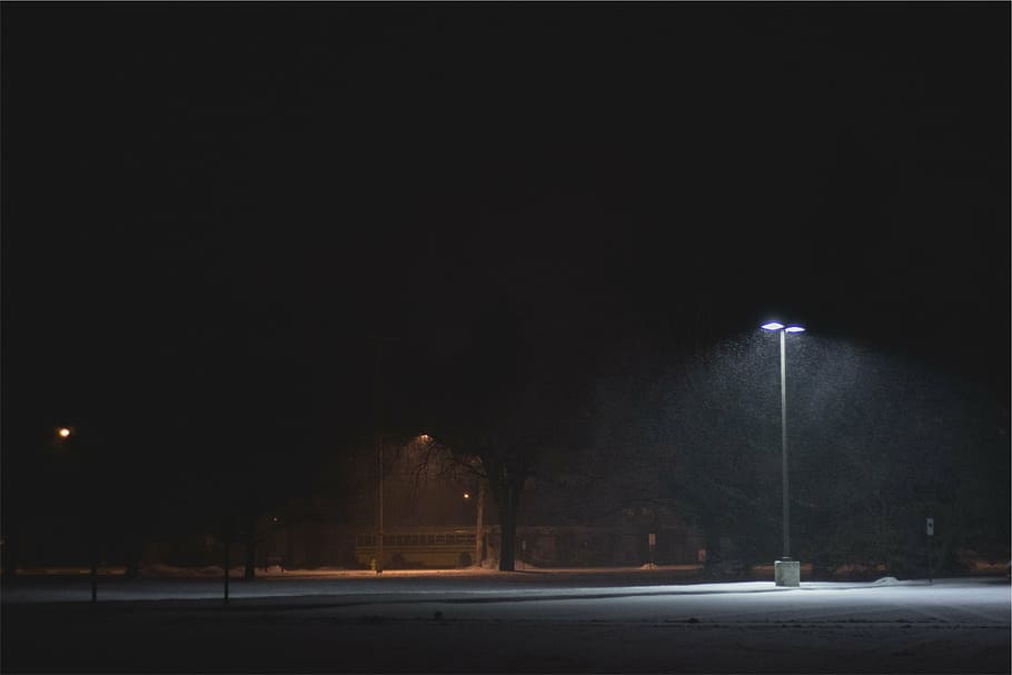turned, post lamps, walkway, near, tall, trees, night, time, parking lot, snow