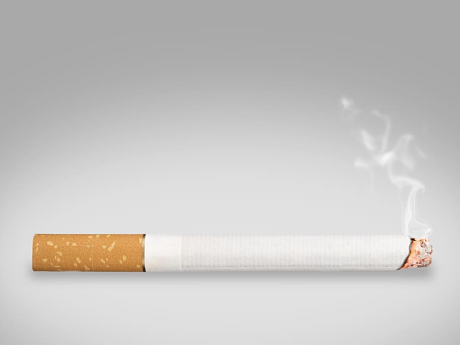 cigarrillo, humo, fumar, ceniza, cigarro, quemadura, muerto, insalubre, beneficio de, adicción