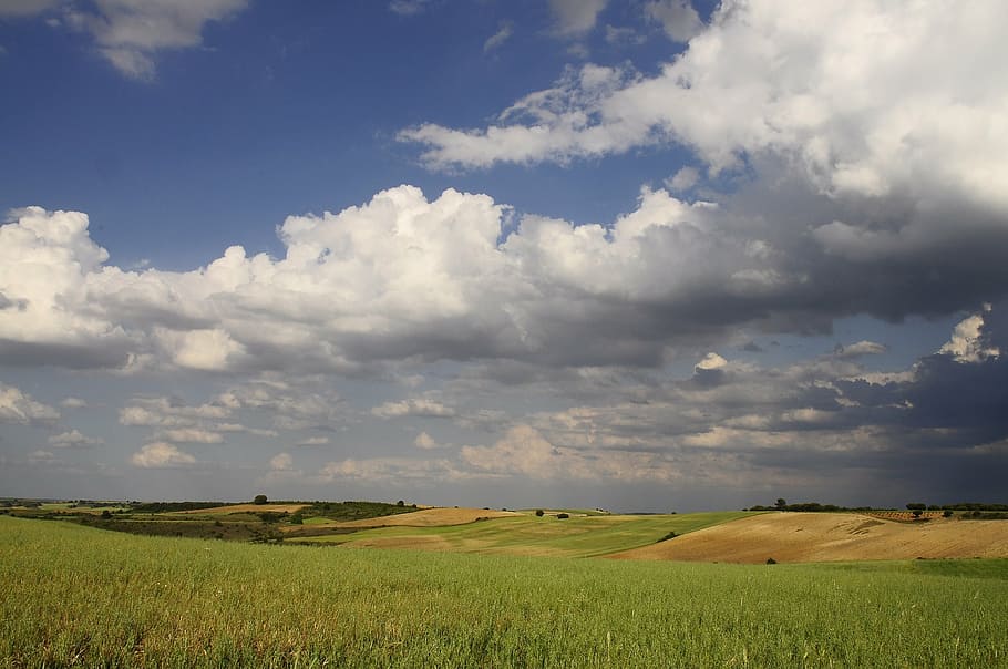 landscape, clouds, field, sky, nature, blue, cloud background, scenic, outdoors, scenery
