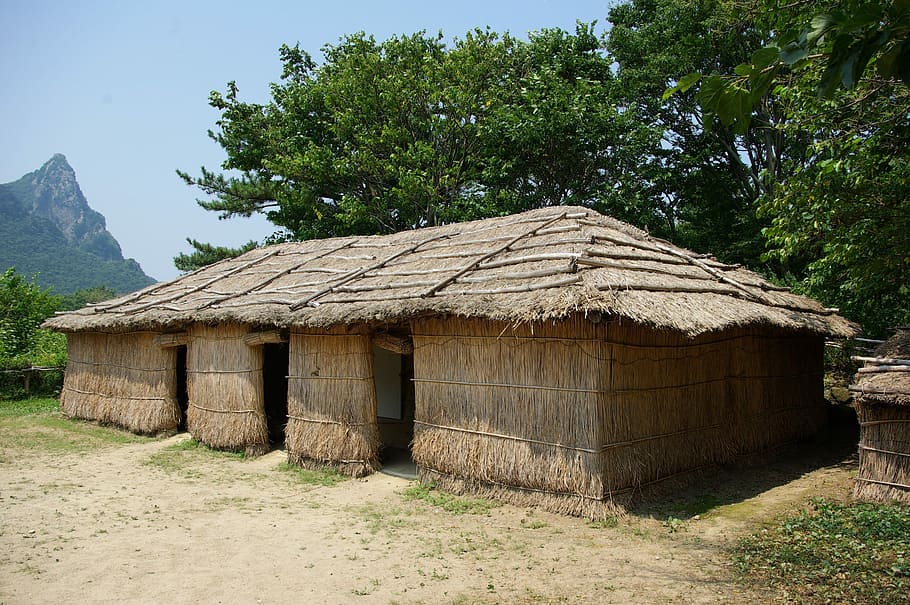 Casa, arroz, palha, 19, apenas para casa, palha de arroz, casas tradicionais, ilha, cabana, telhado de colmo