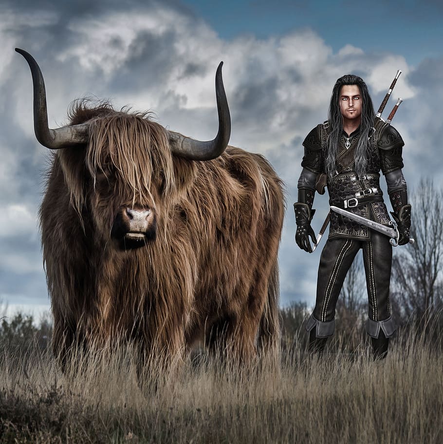 man, brown, animal photo, fantasy, bull, grassland, cloudy sky, warrior, leather, animal