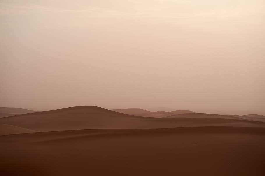 sandstorm, trueb, desert, sand, landscape, nature, sahara, morocco, dunes, sunset