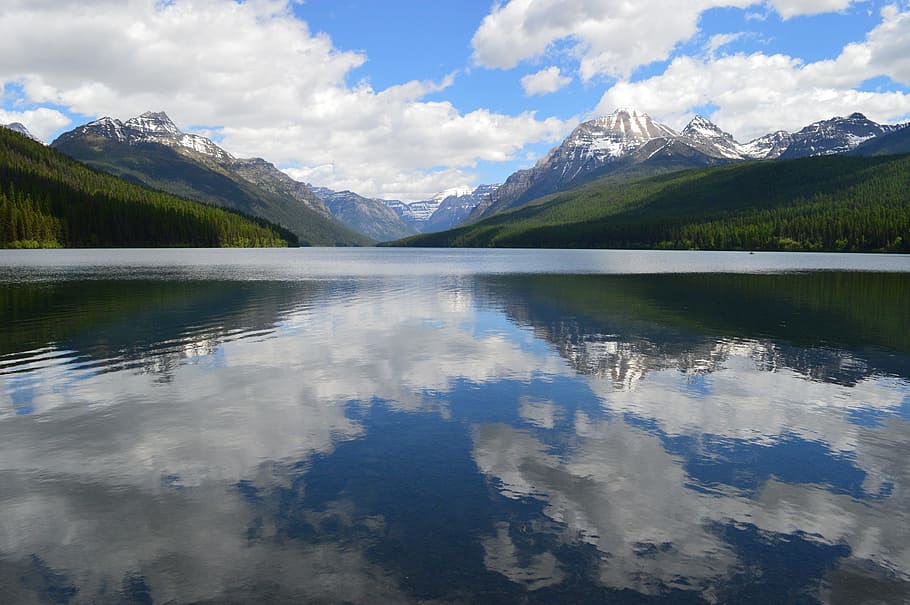 lake, surrounded, mountains, daytime, bowman lake, water, reflection, peaceful, tranquil, wilderness