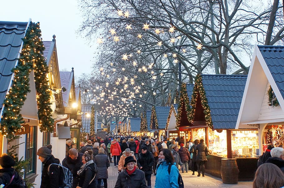 people, assorted-color jacket lot, Christmas Market, Lights, Star, Market, star, market, lighting, advent, christmas