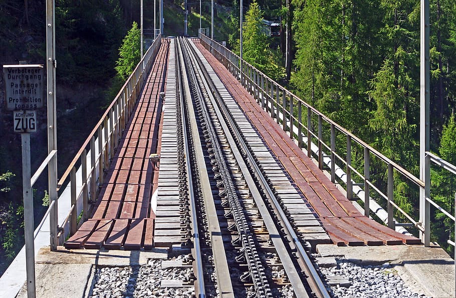 brown, gray, wooden, bridge, green, leaf tree, daytime, valley bridge, railroad track, rack railway