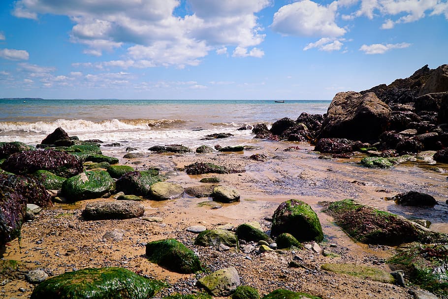 beach, rocks, seaweed, summer, sea, water, ocean, rock, coast, nature