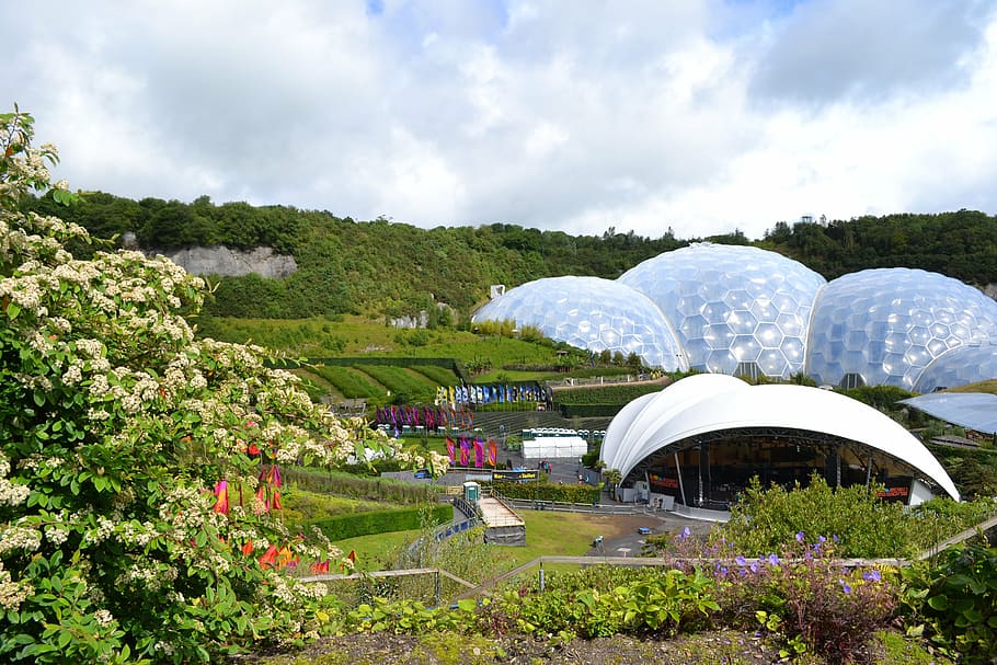 white, concrete, building, surrounded, grees trees, daytime, eden, project, cornwall, garden