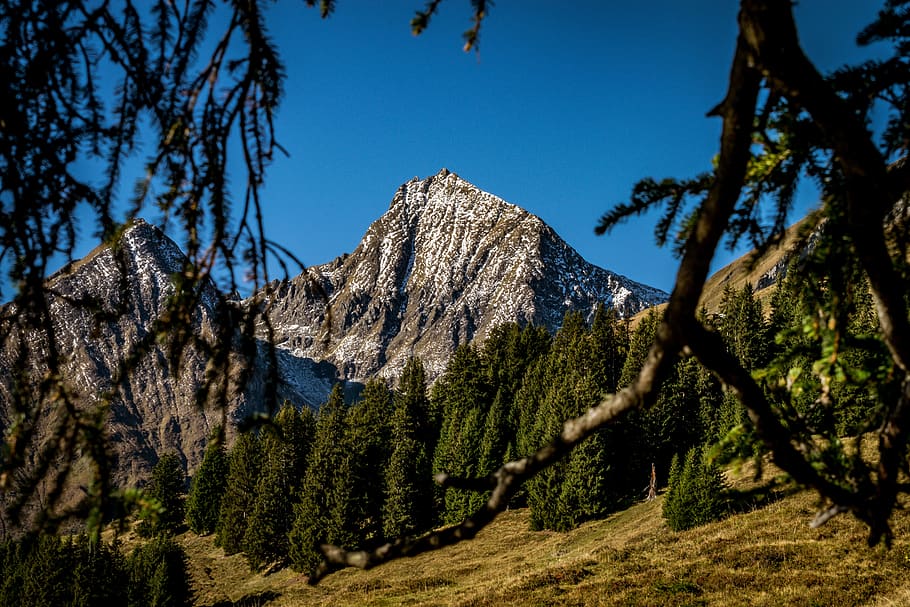 switzerland, mountain, landscape, alpine, autum, bluesky, forrest, graubünden, postcard, mountains