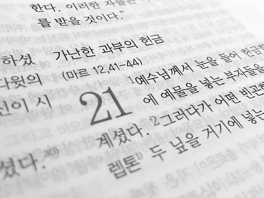 kanji text, the bible, book, religion, christian, the gospel, language, korean, translation, korea