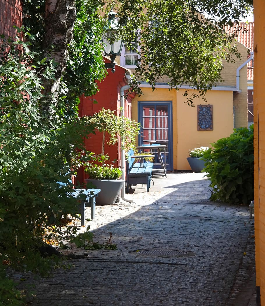 Bornholm, Denmark, Old City, Alley, the old city, houses, summer, live, house, farmhouse