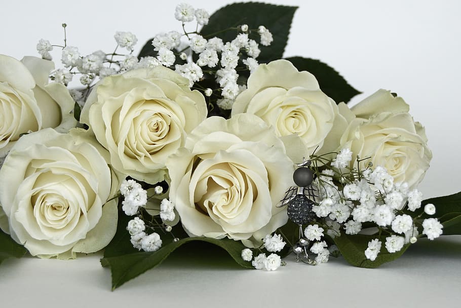 white roses, roses, rose flower, flowers, white, angel, gypsophila, flower, nature, bouquet of flowers