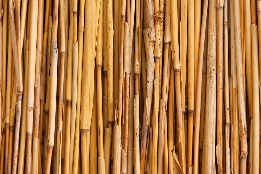 coklat, bambu, tongkat, banyak, pagar, abstrak, asia, latar belakang, ikat, alami
