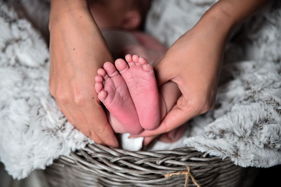 person, holds, baby, feet, newborn baby, toes, hands holding, newborn, child, small
