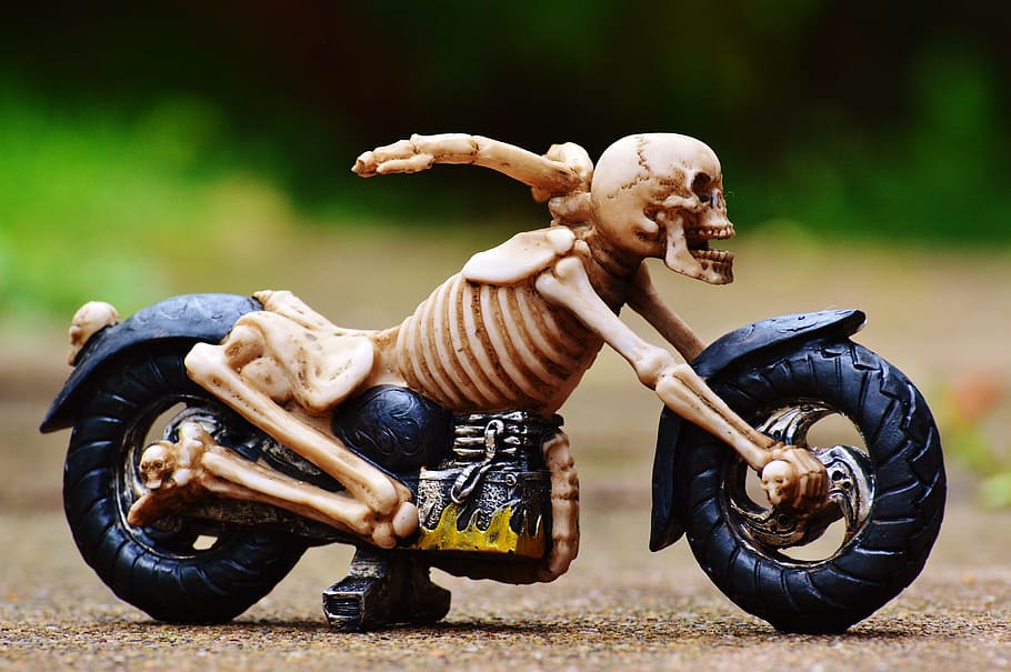 Biker, Skeleton, Creepy, Weird, decoration, scary, bone, horror, skull and crossbones, skull
