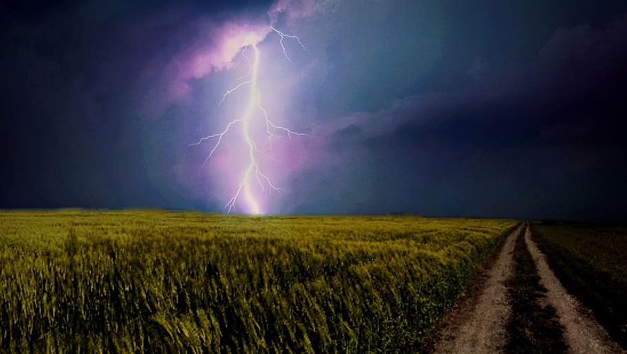 pink, cloud, white, lightning strike, green, grass field, lightning weft, flash, weather phenomenon, thunderstorm