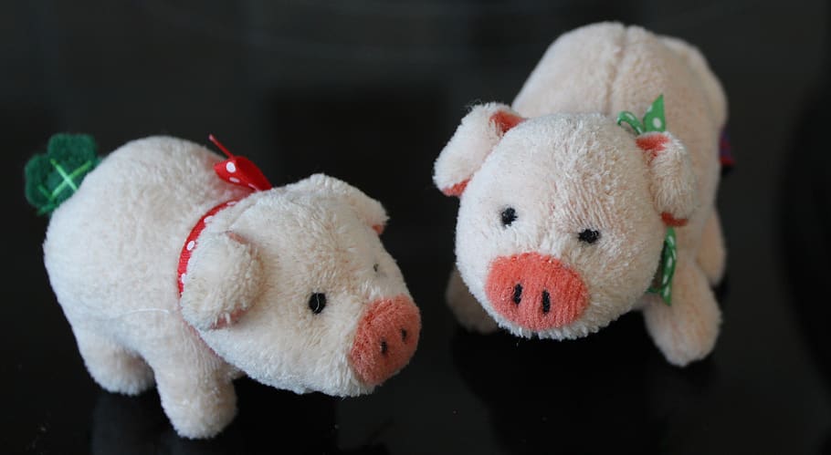 teddy bears, piglet, lucky charm, lucky pig, sweet, cute, stuffed toy, toy, representation, indoors