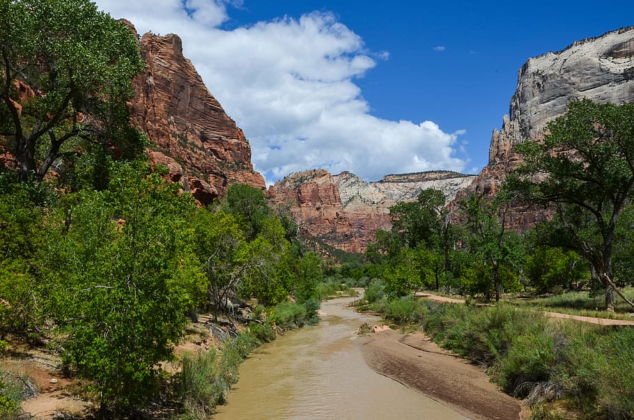 brown, rocky, mountains, green, trees, daytime, utah, zion national park, river, rock