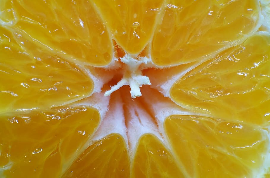 close-up fruit juice, mandarin, fruit, juicy, healthy, macro, citrus Fruit, food, freshness, slice