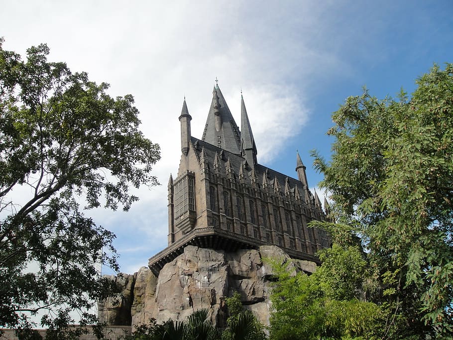 gray painted castle, hogwarts, univeral, florida, orlando, harry potter, attraction, architecture, church, gothic Style