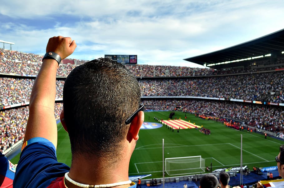 person, lifting, left, hand, cheering, soccer stadium, man, fan, football, soccer