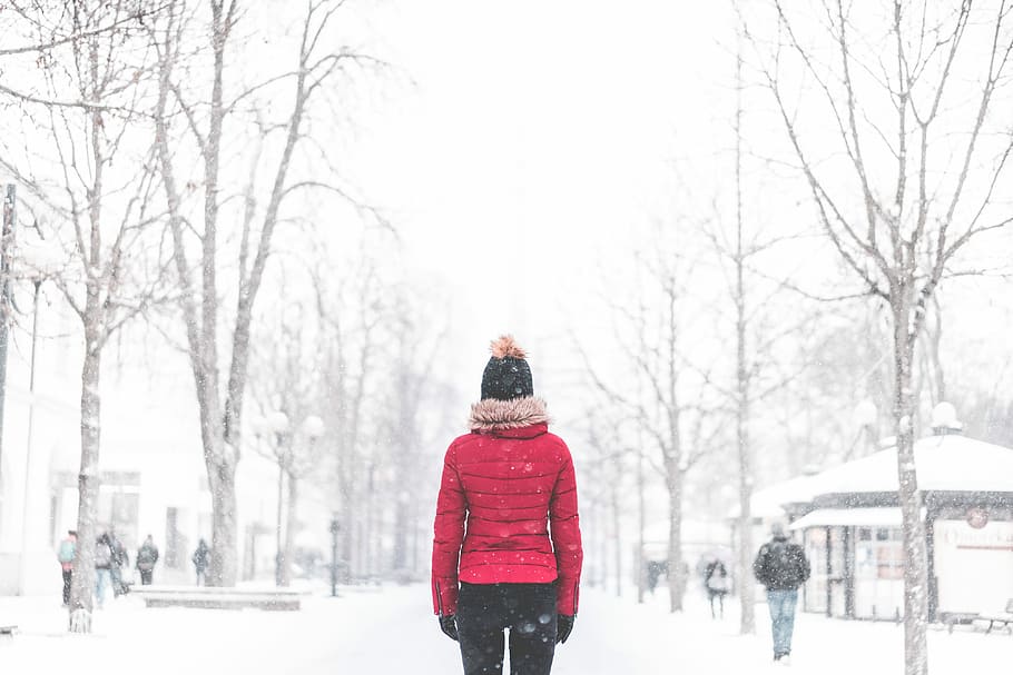 parque, mulher, em pé, meio, nevado, clima, frio, menina, pessoas, vermelho