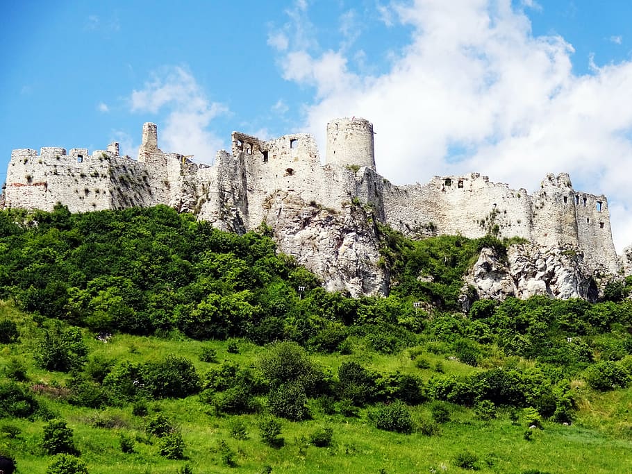 spis castle, slovakia, unesco, monument, ruins, history, walls, fortification, plant, architecture