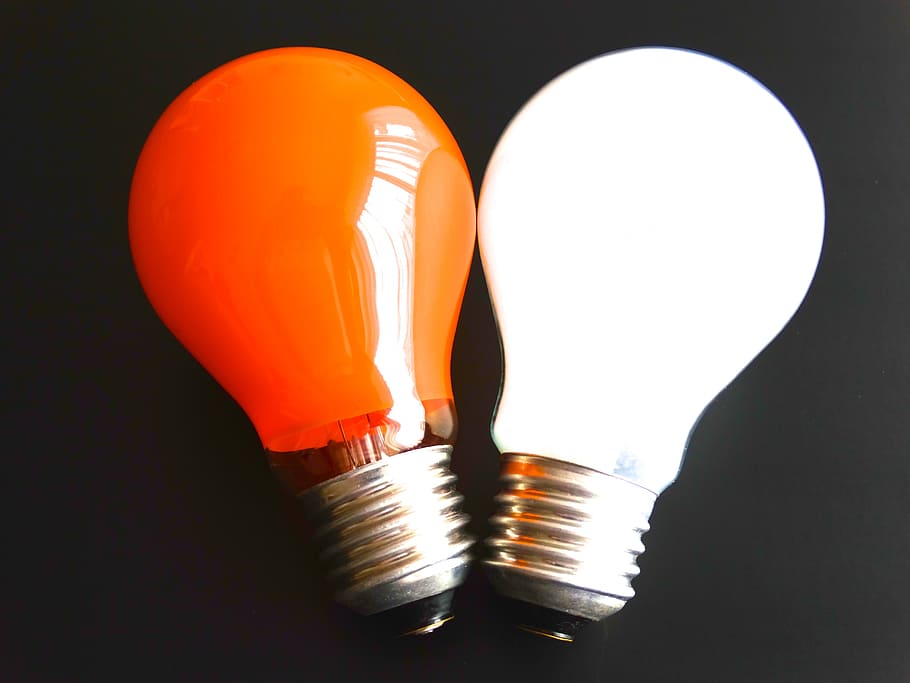 orange, white, led, bulbs, light bulb, light body, lighting equipment, electricity, illuminated, indoors