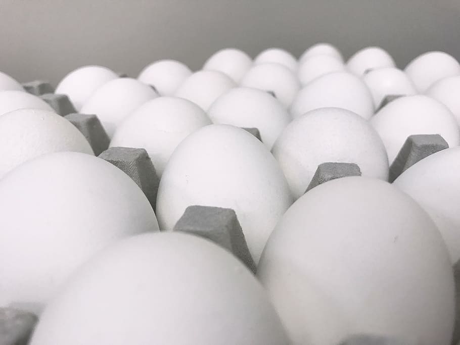 ovos, macro, branco, cinza, Páscoa, frango, natural, café da manhã, férias, cor branca
